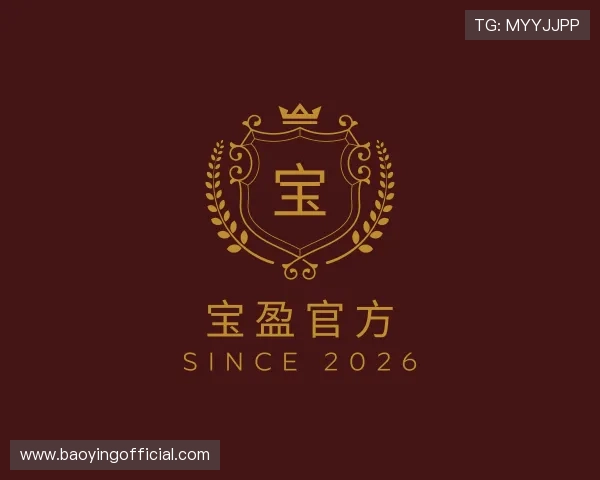 了解宝盈官方